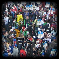 march for life crowd shot