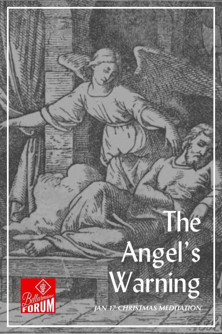 The Angel’s Warning Christmas Meditation Day 24 (Jan 17) The