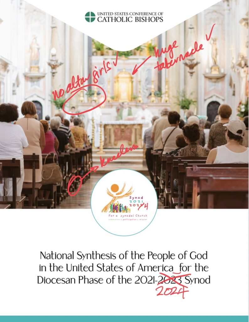 Cover of the USCCB Synod Synthesis with Annotations pointing out the Deliberately Traditional and Non-AmChurch Parish shown